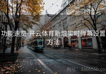 功能速览-开云体育新增实时弹幕设置方法