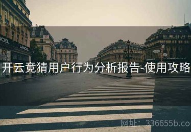 开云竞猜用户行为分析报告-使用攻略