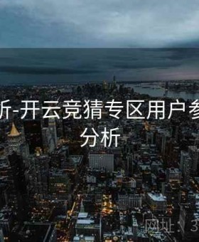 数据分析-开云竞猜专区用户参与频率分析