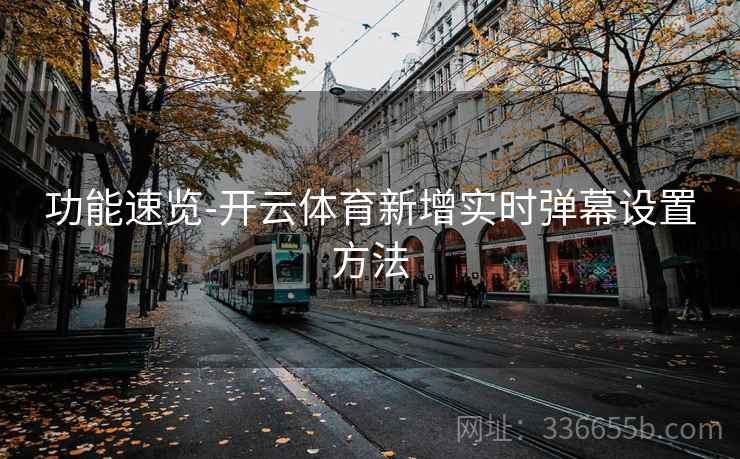 功能速览-开云体育新增实时弹幕设置方法