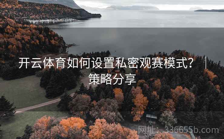 开云体育如何设置私密观赛模式？｜策略分享